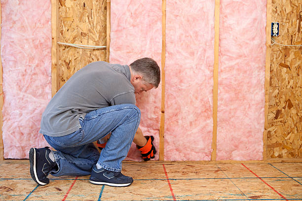 Best Wall Insulation Contractor  in Kouts, IN